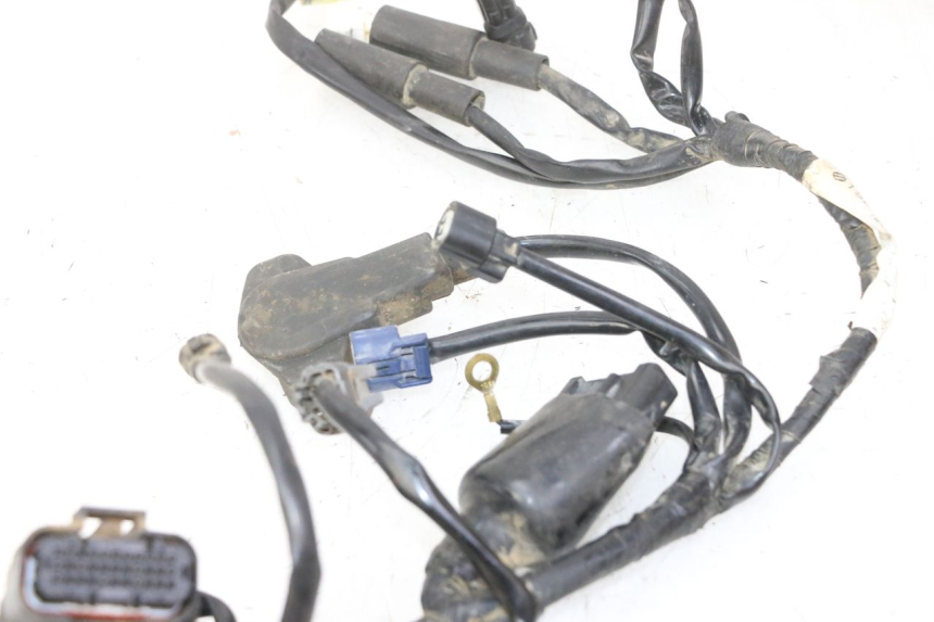 photo de IMPIANTO ELETTRICO YAMAHA YZF YZ-F 450 (2014 - 2016)
