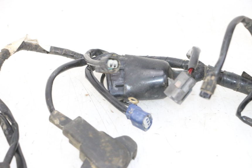 photo de IMPIANTO ELETTRICO YAMAHA YZF YZ-F 450 (2014 - 2016)