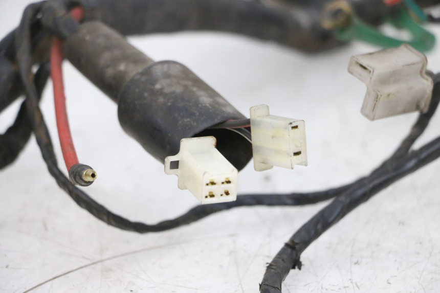 photo de IMPIANTO ELETTRICO KYMCO ZING 125 (1997 - 2003) - Ricambio usato controllato