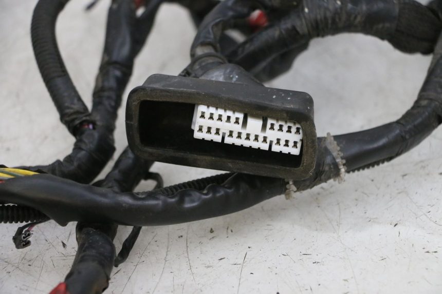 photo de FAISCEAU PIAGGIO ZIP 4T 50 (2018 - 2020) - Dettaglio del componente