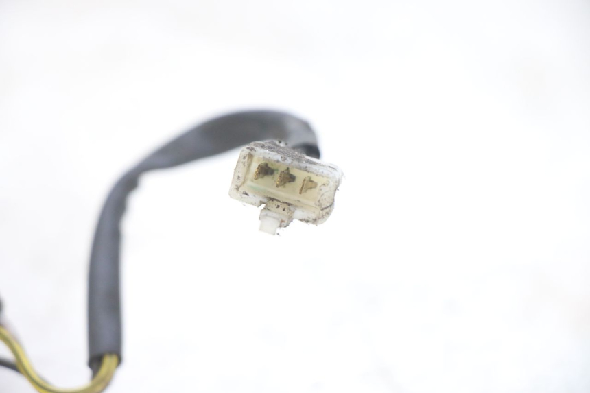 photo de FANALE POSTERIORE PIAGGIO NEW TYPHOON 50 (2018 - 2021)