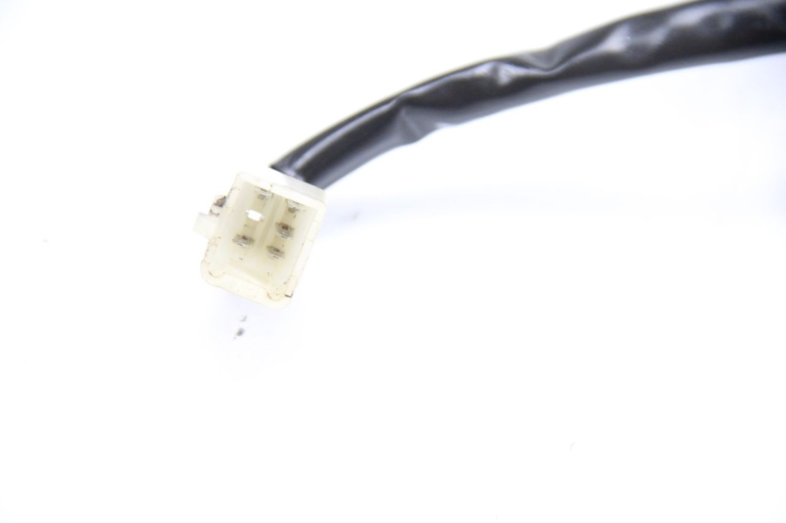 photo de FANALE POSTERIORE TNT MOTOR ROMA 12' 2T 50 (2007 - 2018)