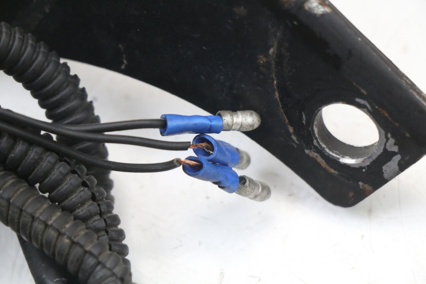 photo de FANALE STOP POSTERIORE  HARLEY DAVIDSON SPORTSTER XL CUSTOM 1200 (2003 - 2004)