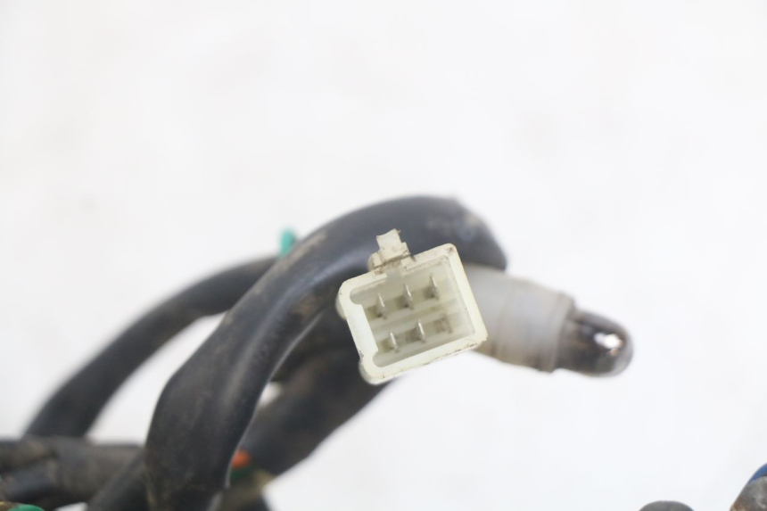 photo de FANALE POSTERIORE PEUGEOT TWEET 4T 50 (2010 - 2014)