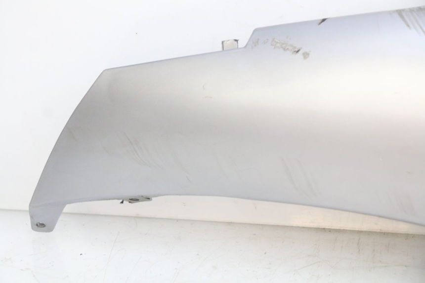 photo de PARAFANGO POSTERIORE DESTRO APRILIA SCARABEO LIGHT 125 (2007 - 2011)