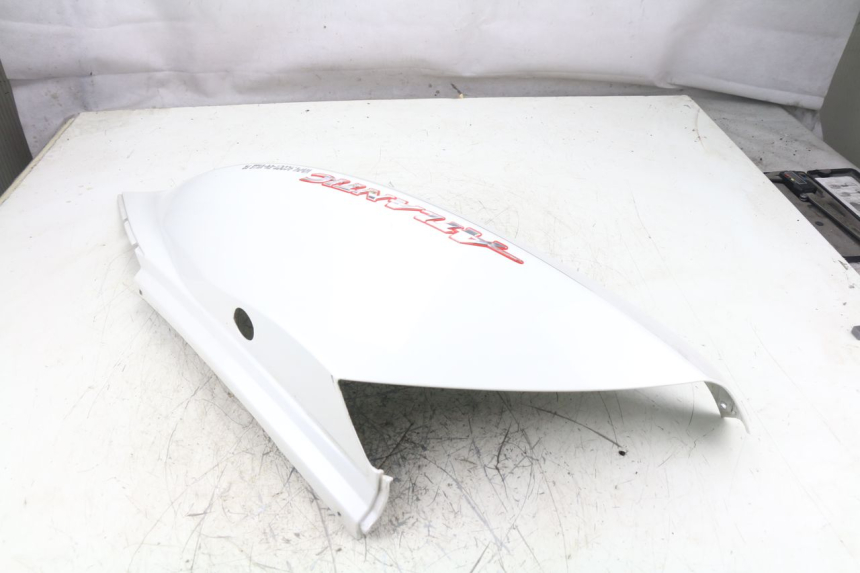 photo de PARAFANGO POSTERIORE DESTRO APRILIA ATLANTIC S 125 (2010 - 2013)