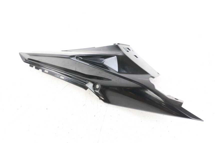 photo de CARENA POSTERIORE DESTRA BMW S RR ABS S1000RR 1000 (2015 - 2018)