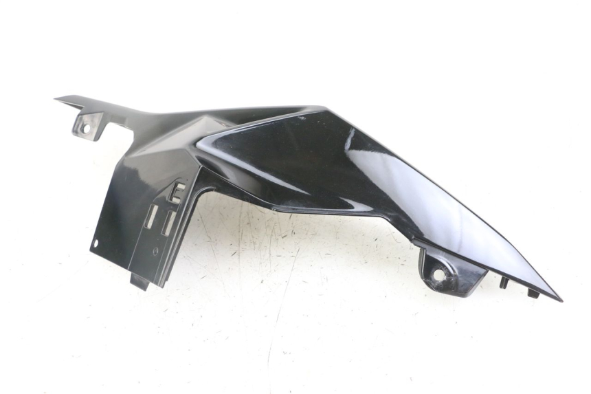 photo de CARENA POSTERIORE DESTRA BMW S RR ABS S1000RR 1000 (2015 - 2018)
