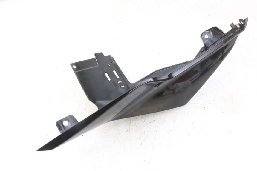 photo de CARENA POSTERIORE DESTRA BMW S RR ABS S1000RR 1000 (2015 - 2018)