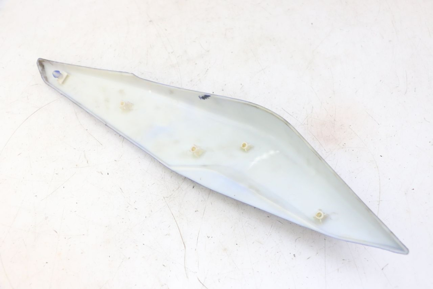 photo de CARENA POSTERIORE DESTRA STAHO FH 50 (2018 - 2019)