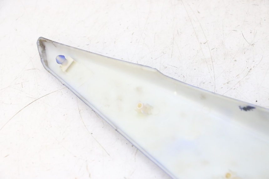 photo de CARENA POSTERIORE DESTRA STAHO FH 50 (2018 - 2019)