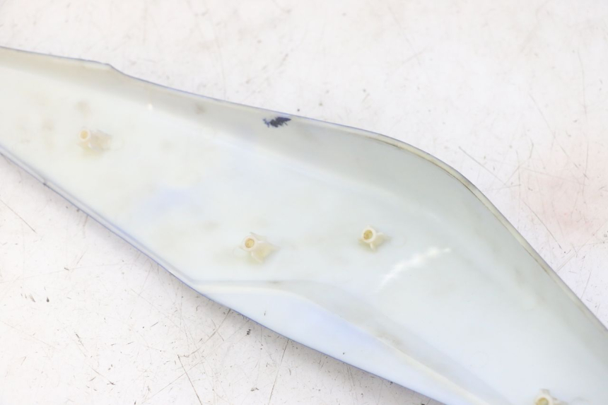 photo de CARENA POSTERIORE DESTRA STAHO FH 50 (2018 - 2019)