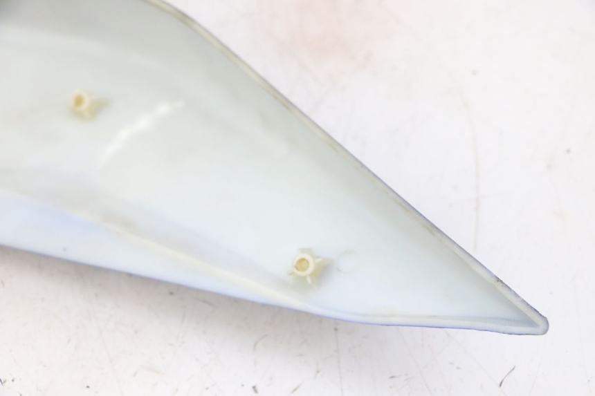 photo de CARENA POSTERIORE DESTRA STAHO FH 50 (2018 - 2019)