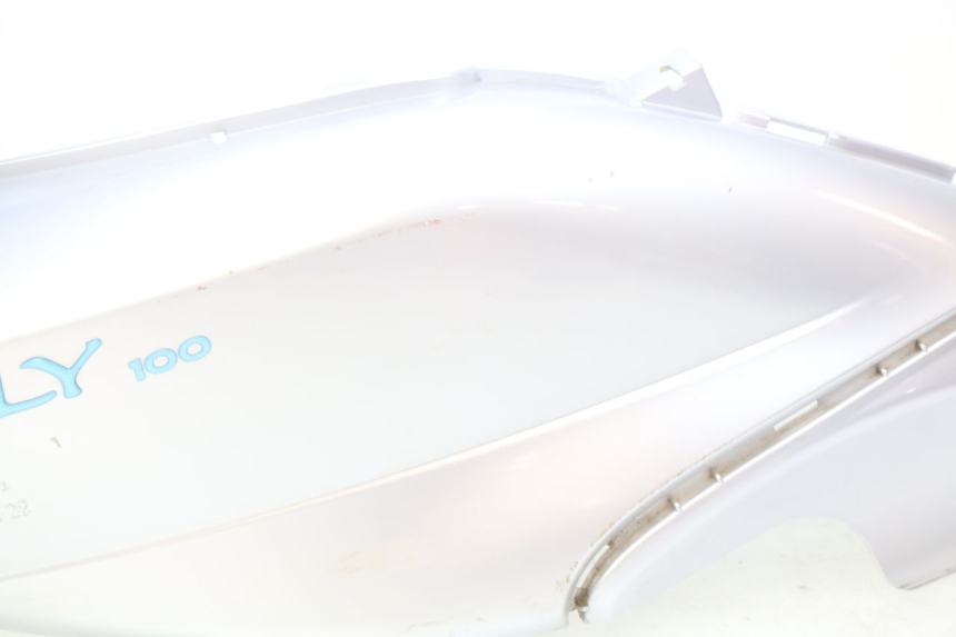 photo de PARAFANGO POSTERIORE DESTRO PIAGGIO FLY 100 (2006 - 2010)