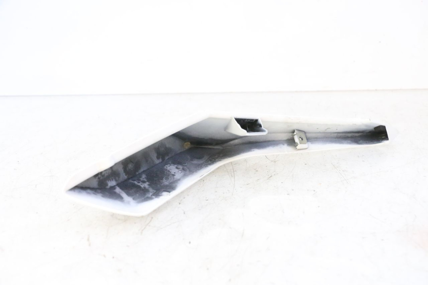 photo de CARENA POSTERIORE DESTRA BMW G310 R 310 (2016 - 2020)