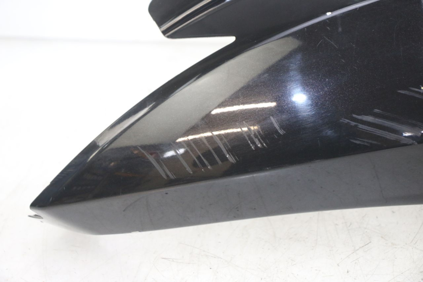 photo de CARENA POSTERIORE DESTRA PEUGEOT GEOPOLIS RS 125 (2007 - 2009)