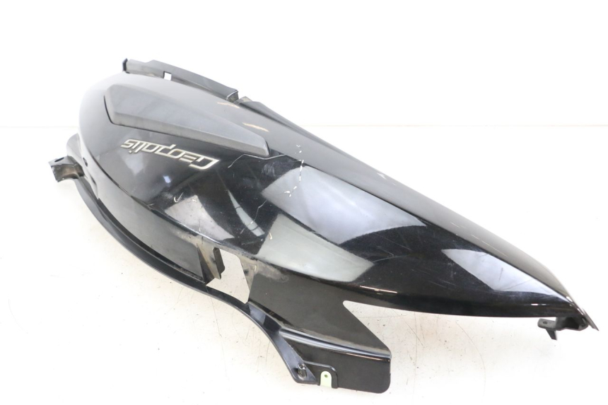 photo de CARENA POSTERIORE DESTRA PEUGEOT GEOPOLIS RS 125 (2007 - 2009)