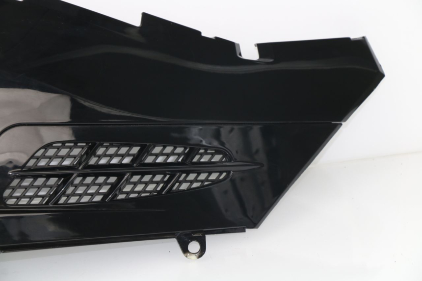 photo de PARAFANGO POSTERIORE DESTRO JONWAY AZTRAL 125 (2008 - 2017)