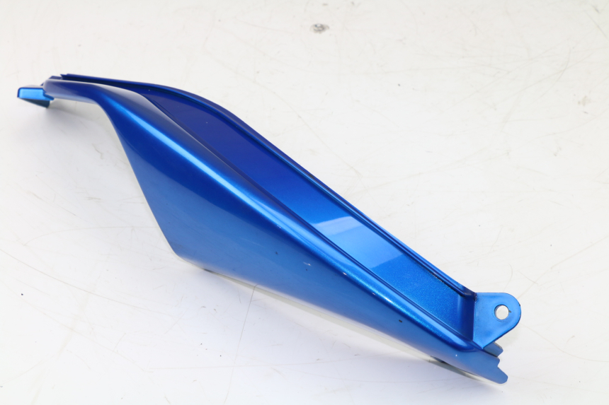 photo de CARENA POSTERIORE DESTRA KAWASAKI VERSYS ABS 650 (2006 - 2010)