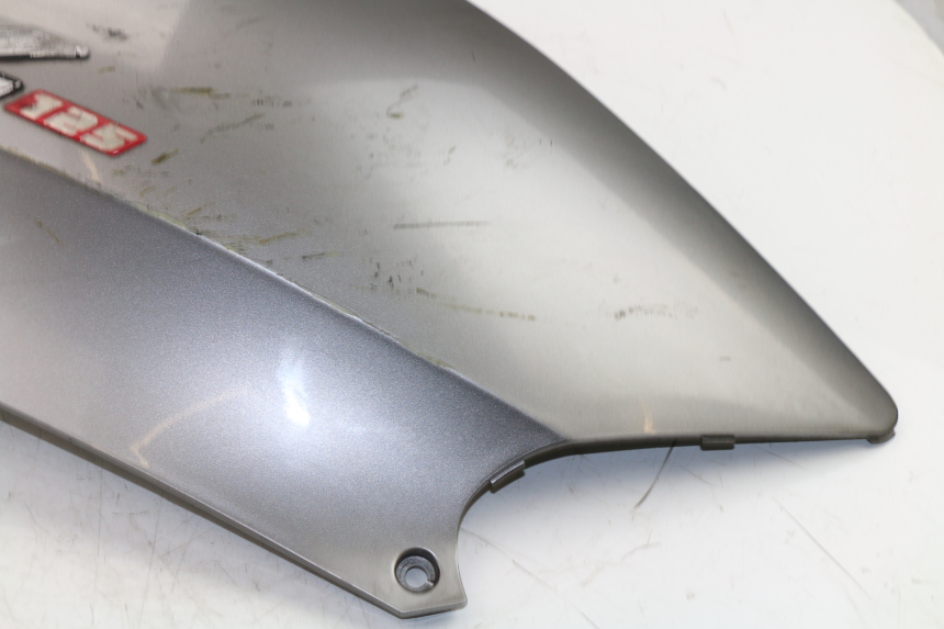 photo de PARAFANGO POSTERIORE DESTRO KYMCO GRAND DINK 125 (2002 - 2007)