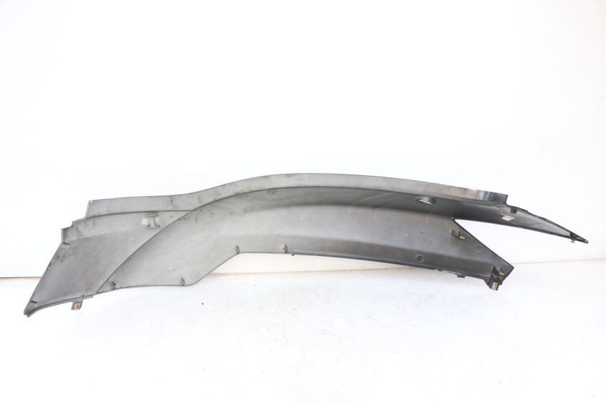 photo de PARAFANGO POSTERIORE DESTRO KYMCO PEOPLE S 125 (2000 - 2008)