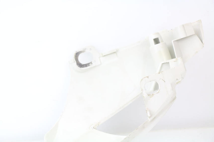 photo de FLANC POSTERIORE DESTRO PEUGEOT LOOXOR 125 (2002 - 2006)