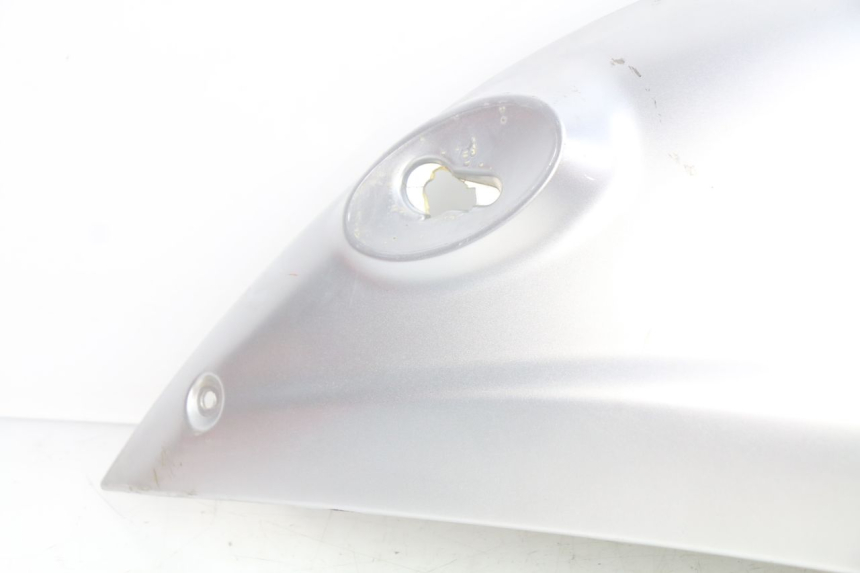 photo de PARAFANGO POSTERIORE DESTRO SACHS FY125T FY T 125 (2007 - 2011)