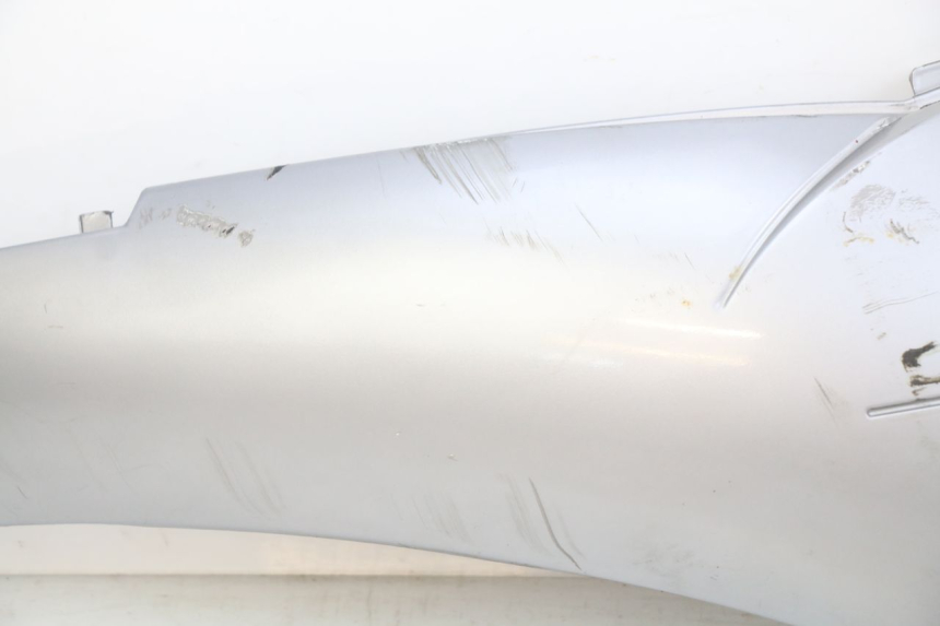 photo de PARAFANGO POSTERIORE DESTRO APRILIA SCARABEO LIGHT 125 (2007 - 2011)