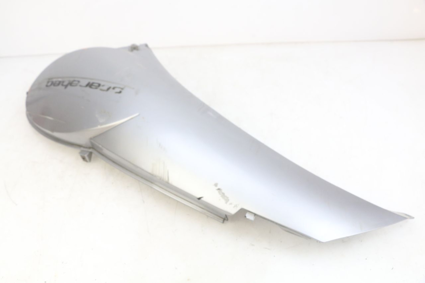 photo de PARAFANGO POSTERIORE DESTRO APRILIA SCARABEO LIGHT 125 (2007 - 2011)