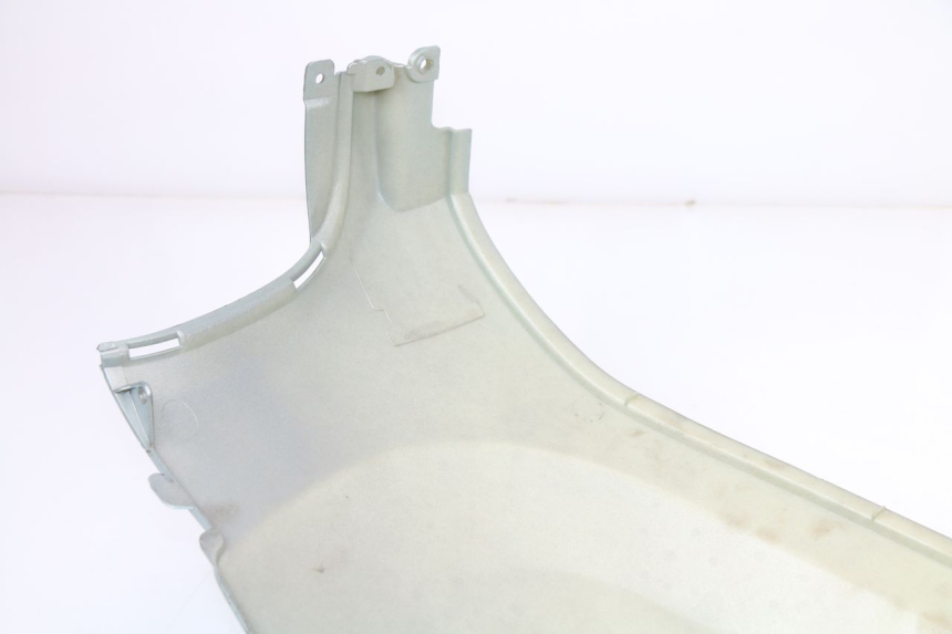 photo de PARAFANGO POSTERIORE DESTRO SYM FIDDLE 2 125 (2010 - 2013)
