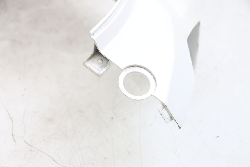 photo de CARENA POSTERIORE DESTRA PEUGEOT TWEET PRO EFI 4T 50 (2021 - 2022)