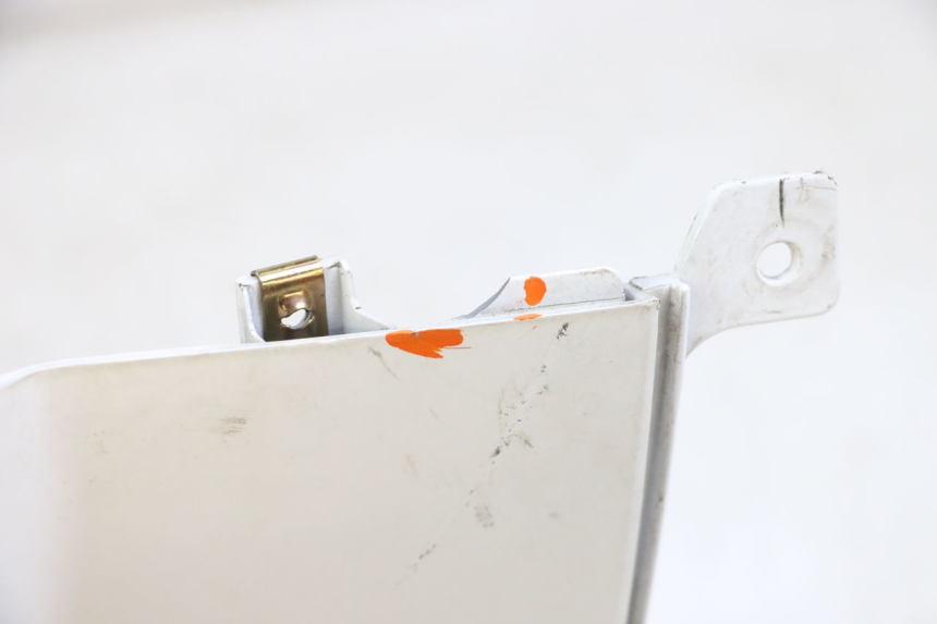 photo de CARENA POSTERIORE DESTRA PEUGEOT TWEET PRO EFI 4T 50 (2021 - 2022)