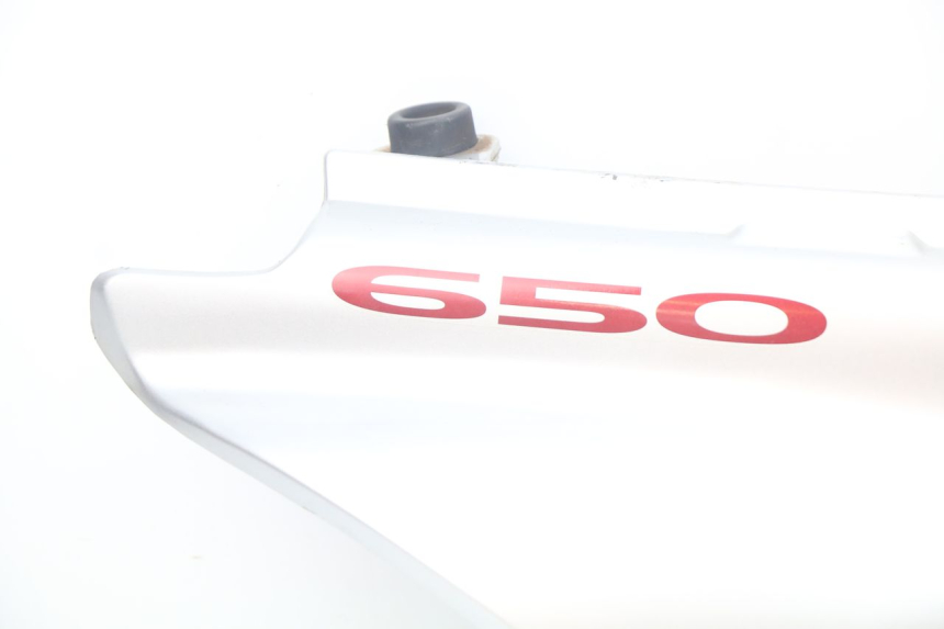 photo de FLANC POSTERIORE DESTRO SUZUKI XF FREEWIND 650 (1997 - 2003)