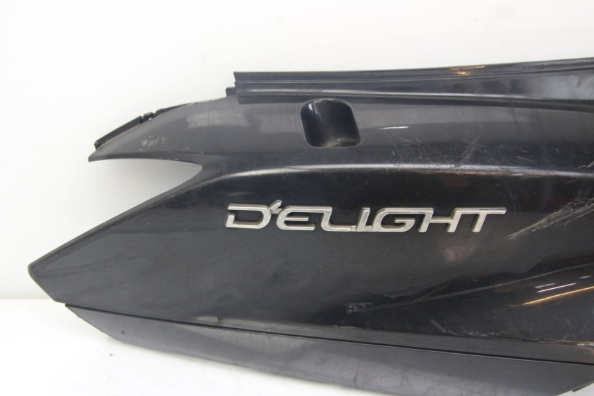 photo de PARAFANGO POSTERIORE DESTRO YAMAHA D'ELIGHT DELIGHT 125 (2017 - 2020)