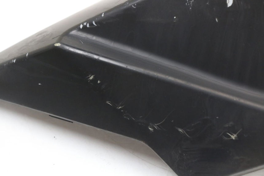 photo de CARENA POSTERIORE SINISTRA LONGJIA EASY MAX 125 (2020 - 2024)