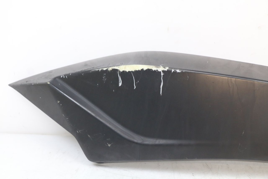 photo de CARENA POSTERIORE SINISTRA LONGJIA EASY MAX 125 (2020 - 2024)