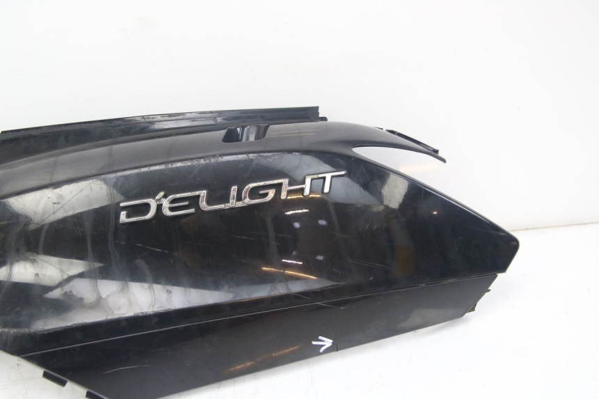 photo de FLANC POSTERIORE SINISTRO YAMAHA D'ELIGHT DELIGHT 125 (2017 - 2020)