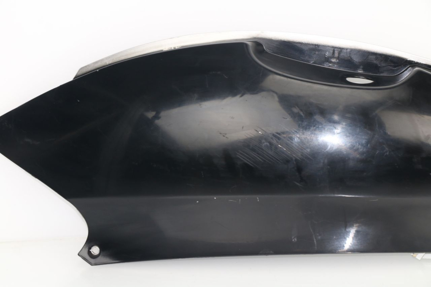 photo de PARAFANGO POSTERIORE SINISTRO KYMCO GRAND DINK 125 (2002 - 2007)