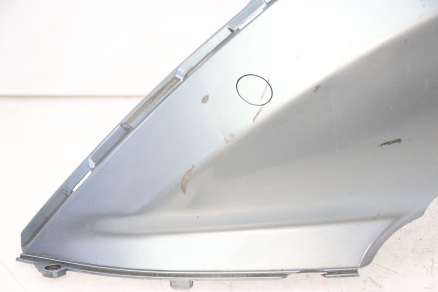 photo de CARENA POSTERIORE SINISTRA DAELIM HISTORY 125 (2001 - 2002)