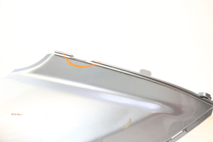 photo de CARENA POSTERIORE SINISTRA DAELIM HISTORY 125 (2001 - 2002)