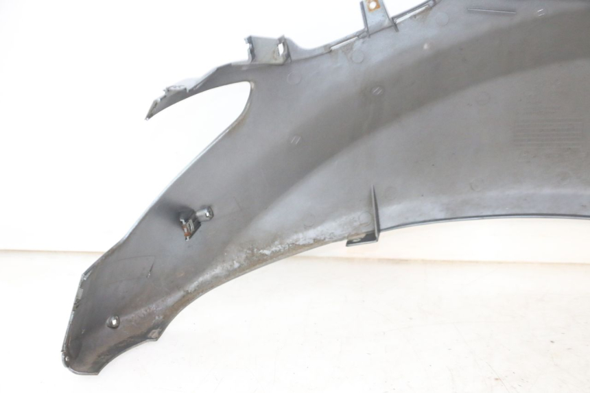 photo de CARENA POSTERIORE SINISTRA DAELIM HISTORY 125 (2001 - 2002)