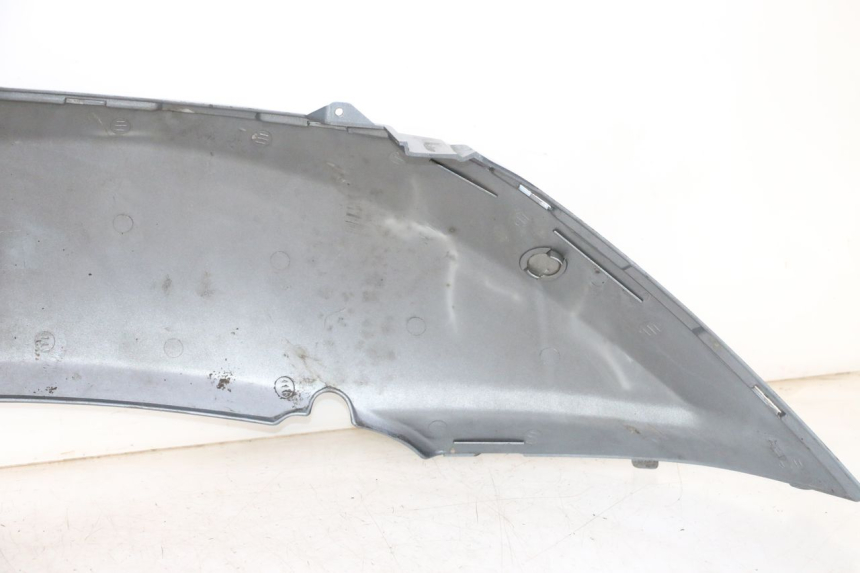 photo de CARENA POSTERIORE SINISTRA DAELIM HISTORY 125 (2001 - 2002)