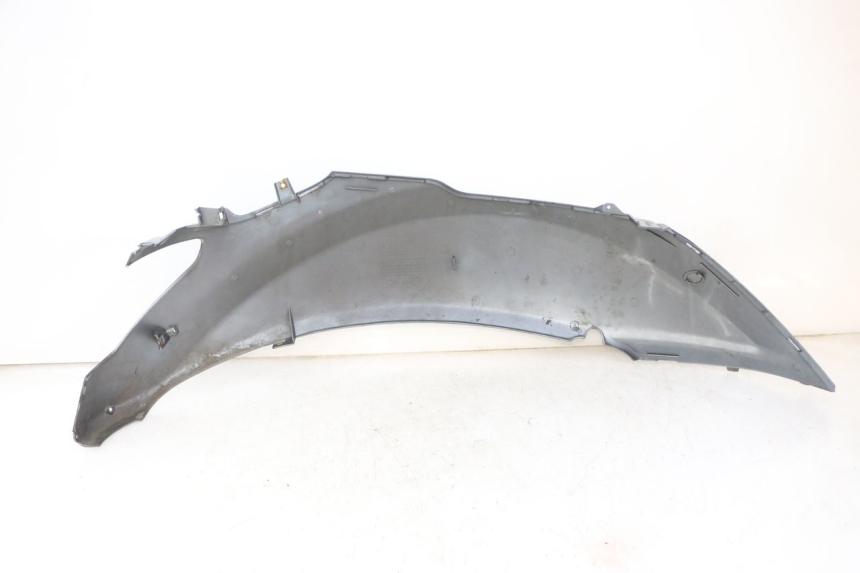 photo de CARENA POSTERIORE SINISTRA DAELIM HISTORY 125 (2001 - 2002)