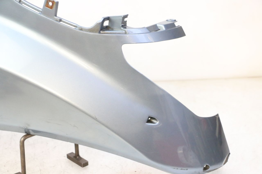 photo de CARENA POSTERIORE SINISTRA DAELIM HISTORY 125 (2001 - 2002)