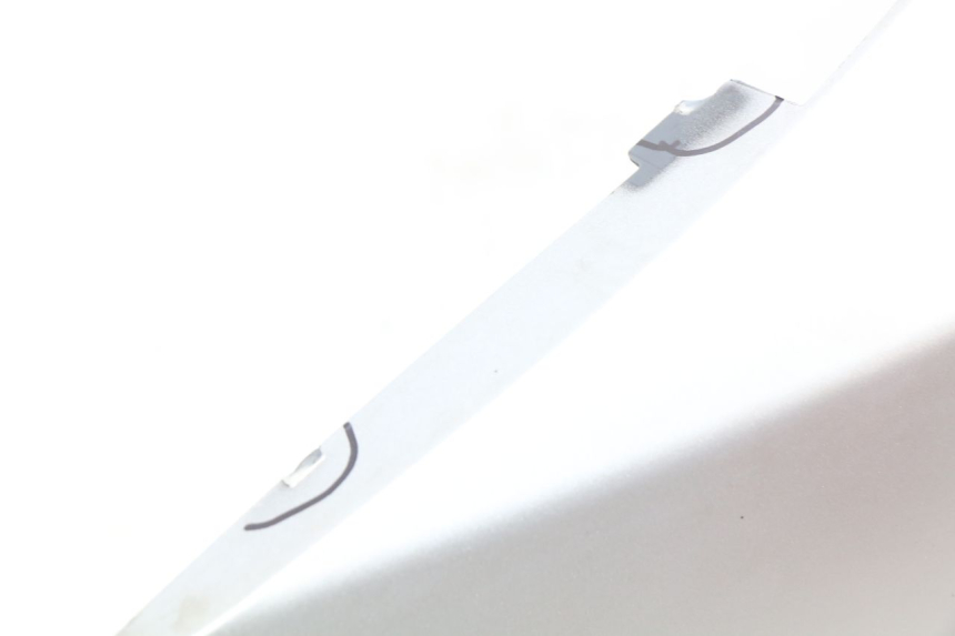 photo de FLANC POSTERIORE SINISTRO PIAGGIO MP3 500 (2014 - 2016)
