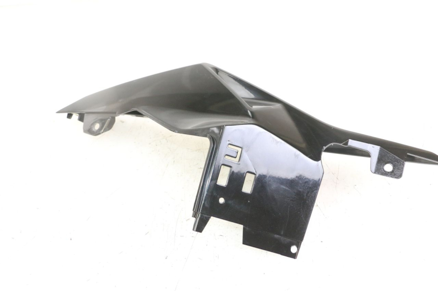 photo de CARENA POSTERIORE SINISTRA BMW S RR ABS S1000RR 1000 (2015 - 2018)