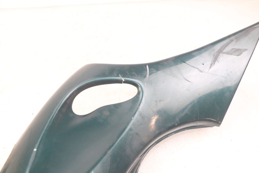 photo de FLANC POSTERIORE SINISTRO TRIUMPH SPRINT ST 955 (1999 - 2001)