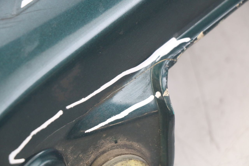 photo de FLANC POSTERIORE SINISTRO TRIUMPH SPRINT ST 955 (1999 - 2001)