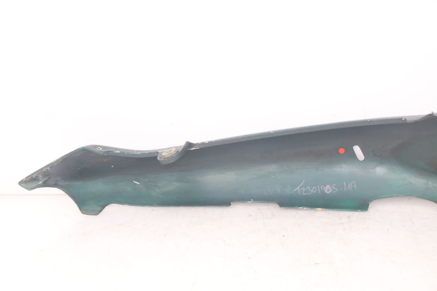 photo de FLANC POSTERIORE SINISTRO TRIUMPH SPRINT ST 955 (1999 - 2001)