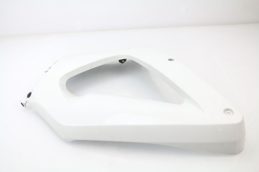 photo de Fiancata laterale anteriore destra HONDA CBR 929 RR FIREBLADE 900 (2000 - 2001) - Primo piano tecnico